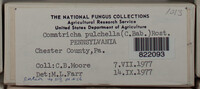 Image Associated With the Occurence